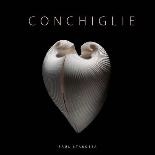 Conchiglie