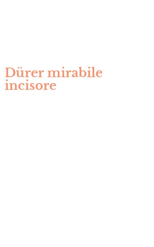 Dürer mirabile incisore