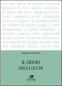 Il grigio degli occhi
