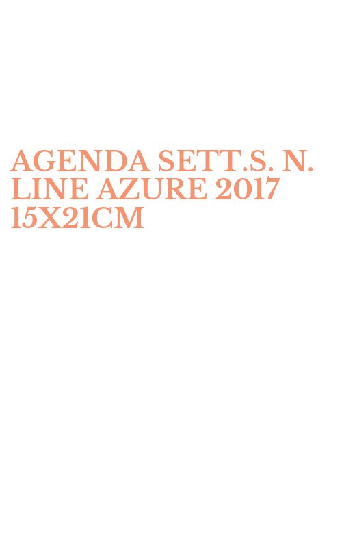 AGENDA SETT.S. N. LINE AZURE 2017 15X21CM