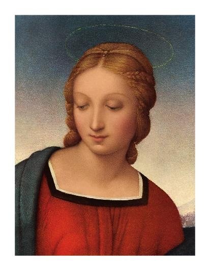 MADONNA DEL CARDELLINO (PARTICOLARE)