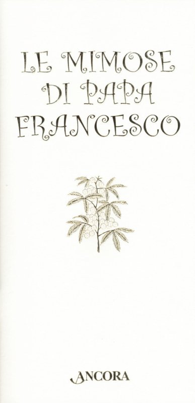 Le mimose di papa Francesco