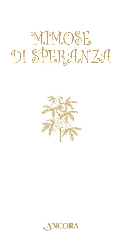 Mimose di speranza