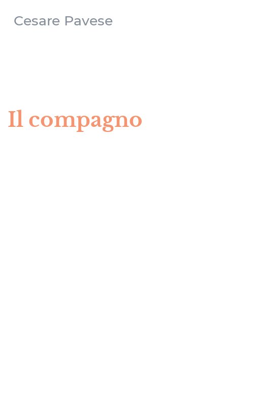 Il compagno
