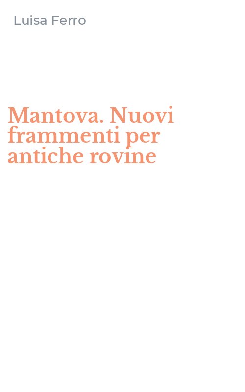 Mantova. Nuovi frammenti per antiche rovine
