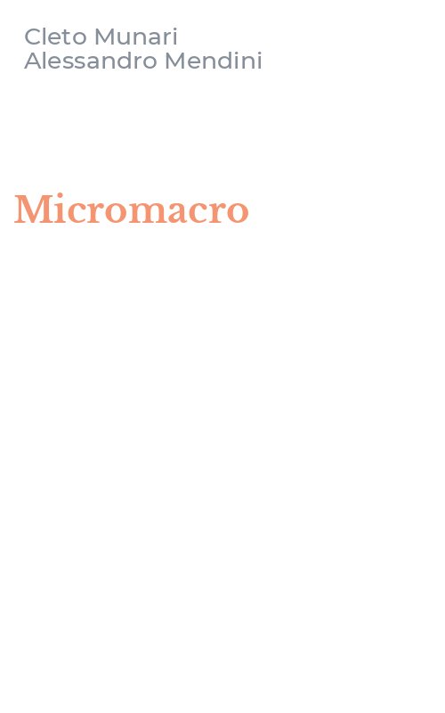 Micromacro