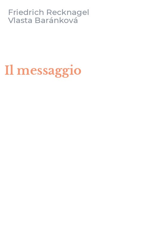 Il messaggio
