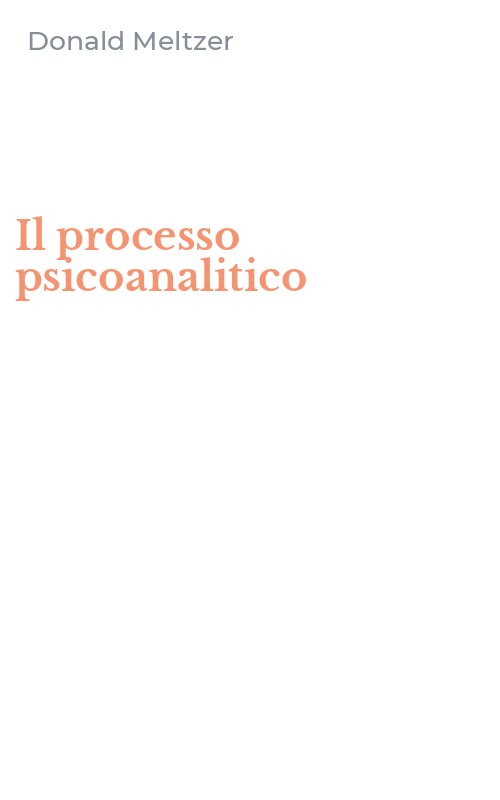 Il processo psicoanalitico