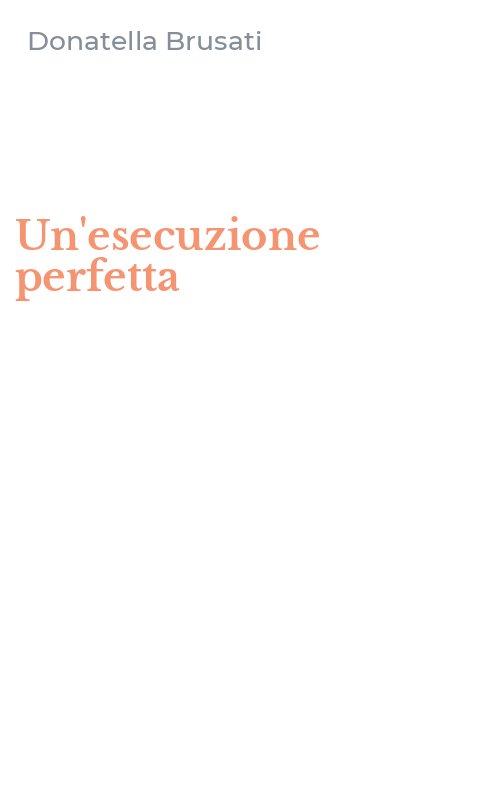Un'esecuzione perfetta