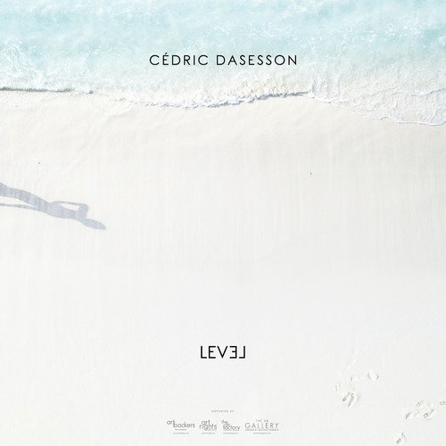 Cédric Dasesson. Level. Ediz. italiana e inglese