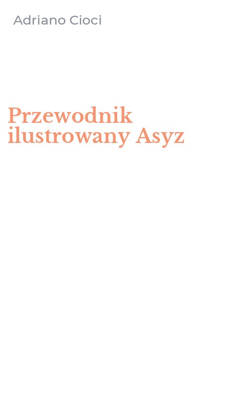Przewodnik ilustrowany Asyz