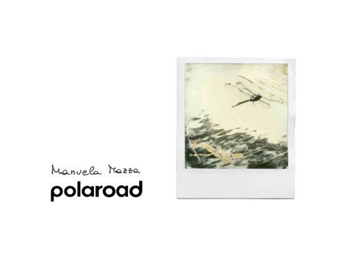 Polaroad