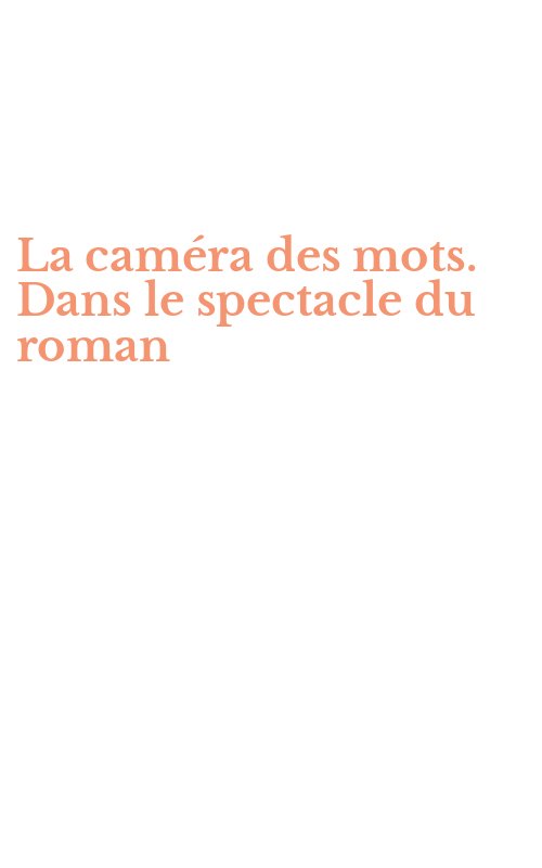 La caméra des mots. Dans le spectacle du roman