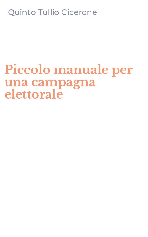 Piccolo manuale per una campagna elettorale