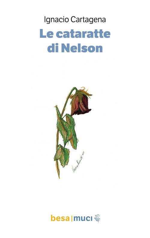 Le cataratte di Nelson