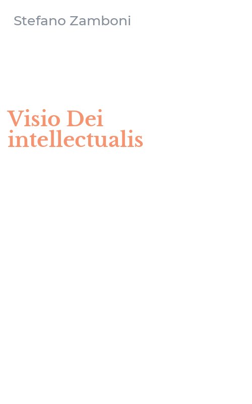 Visio Dei intellectualis