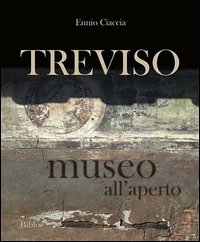 Treviso museo all'aperto