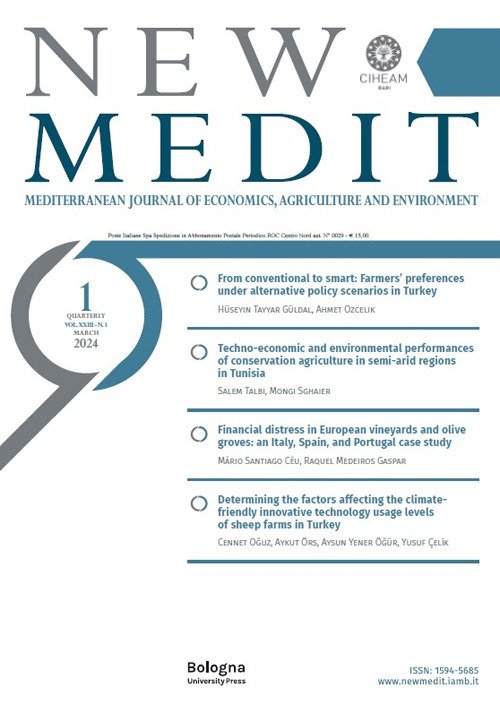 New Medit (2024)