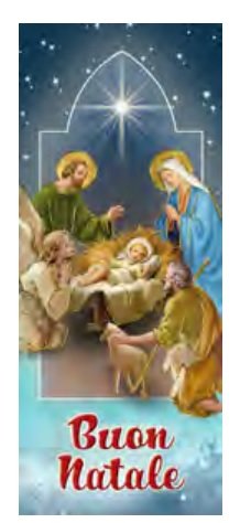 233-S.N.2 SEGNALIBRO NATALE