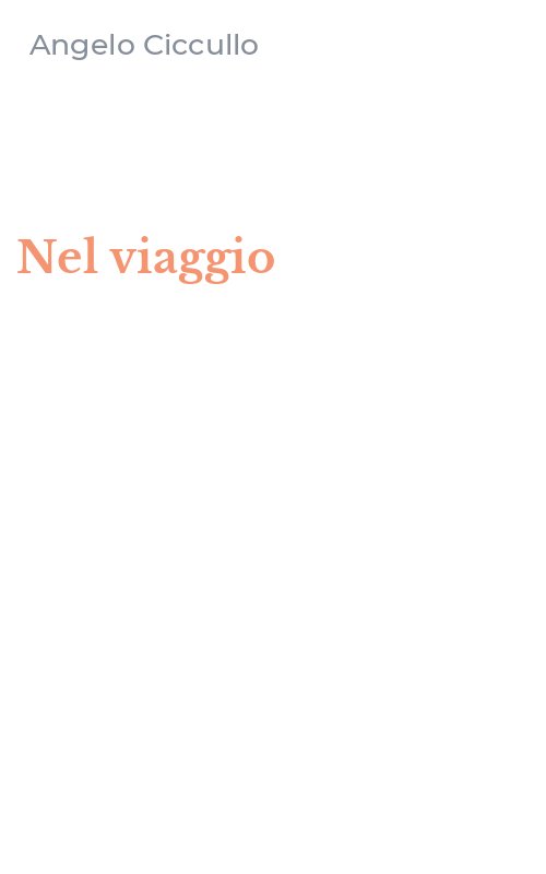 Nel viaggio