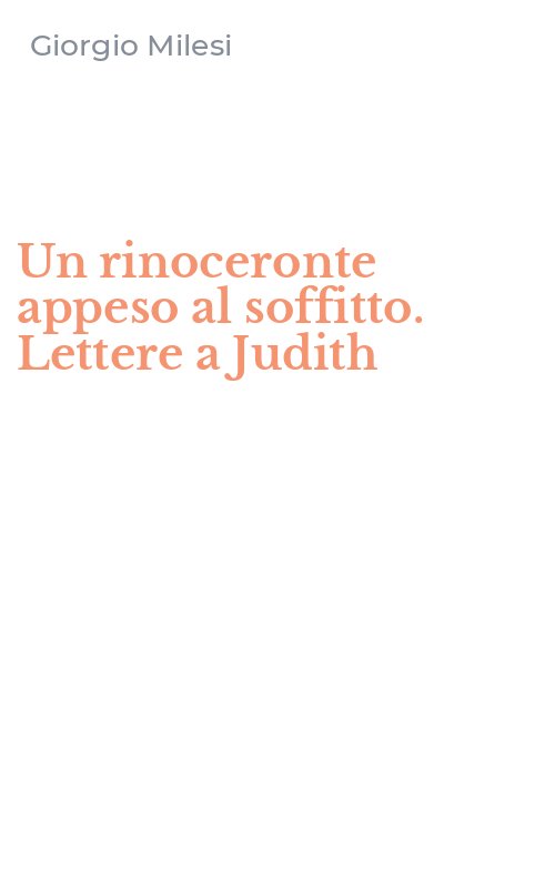 Un rinoceronte appeso al soffitto. Lettere a Judith