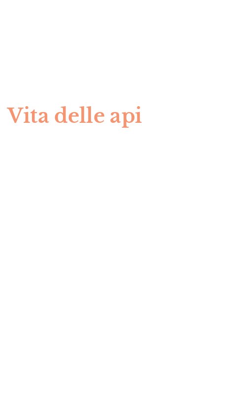 Vita delle api