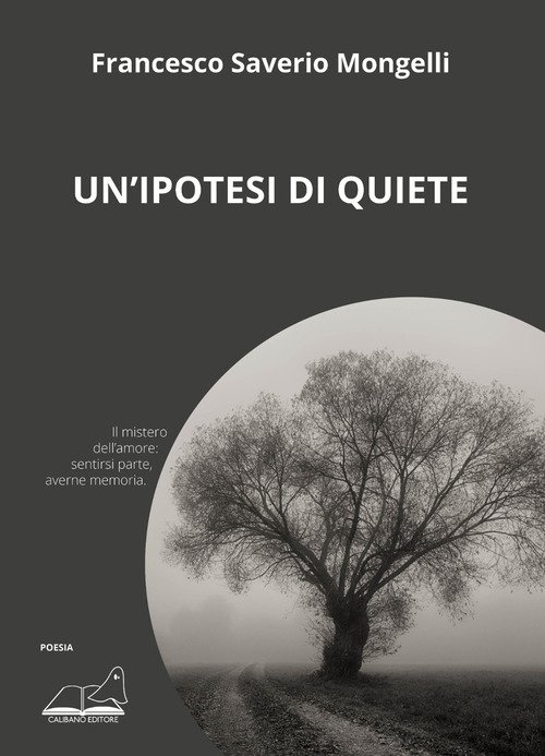 Un'ipotesi di quiete