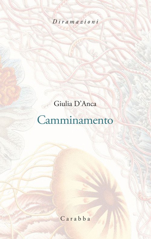 Camminamento