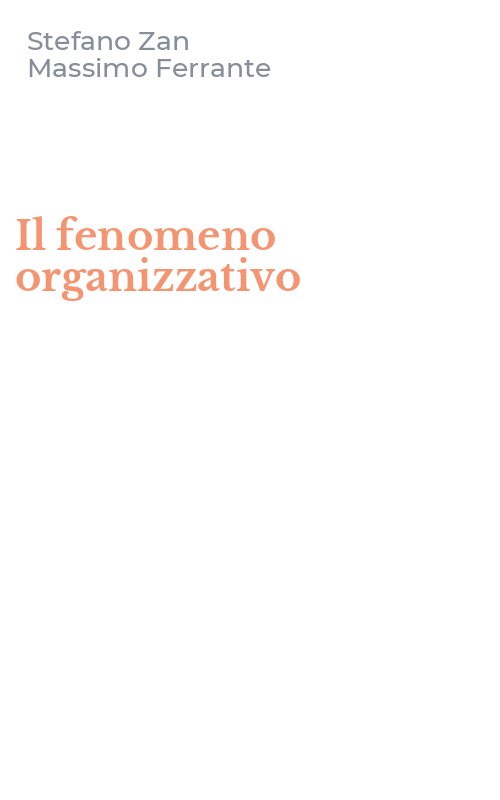 Il fenomeno organizzativo