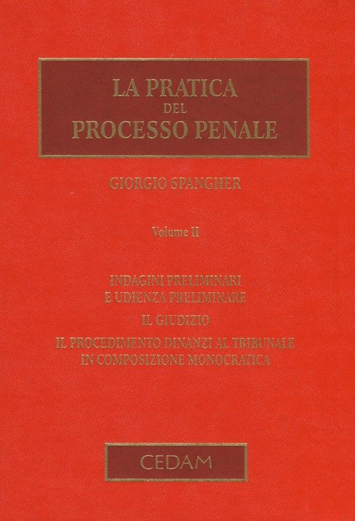 La pratica del processo penale