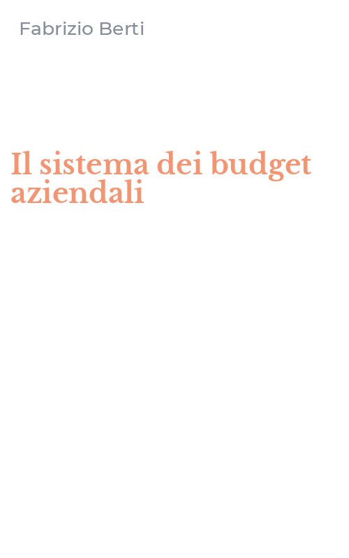 Il sistema dei budget aziendali