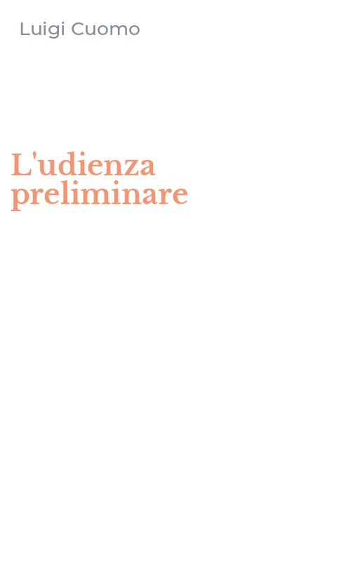 L'udienza preliminare