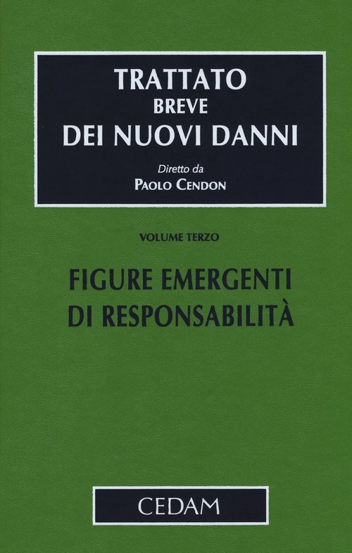 Trattato breve dei nuovi danni