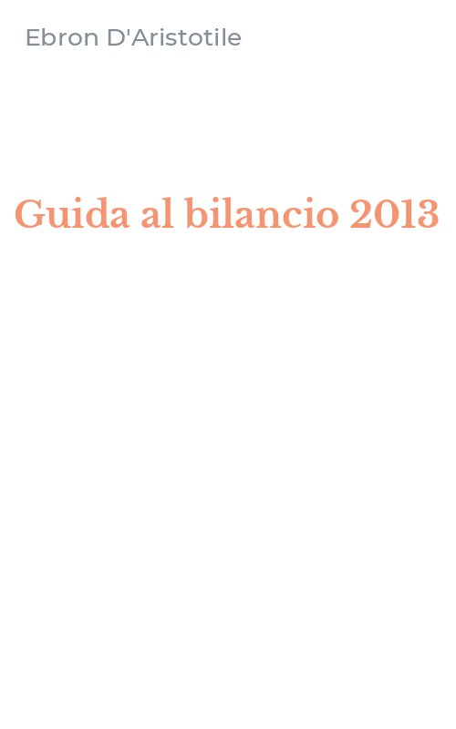 Guida al bilancio 2013