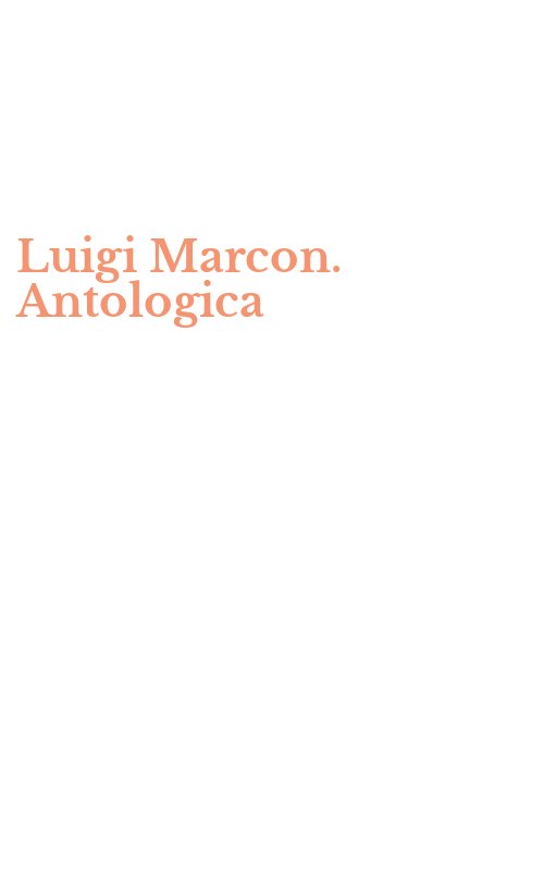 Luigi Marcon. Antologica