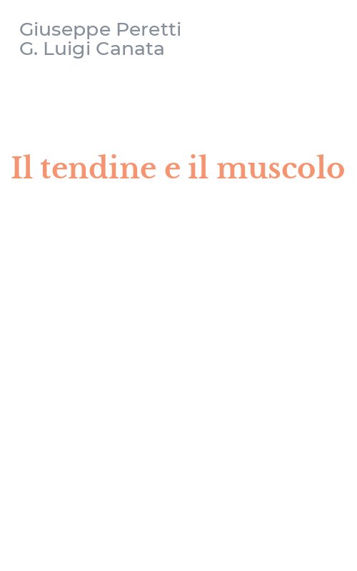 Il tendine e il muscolo