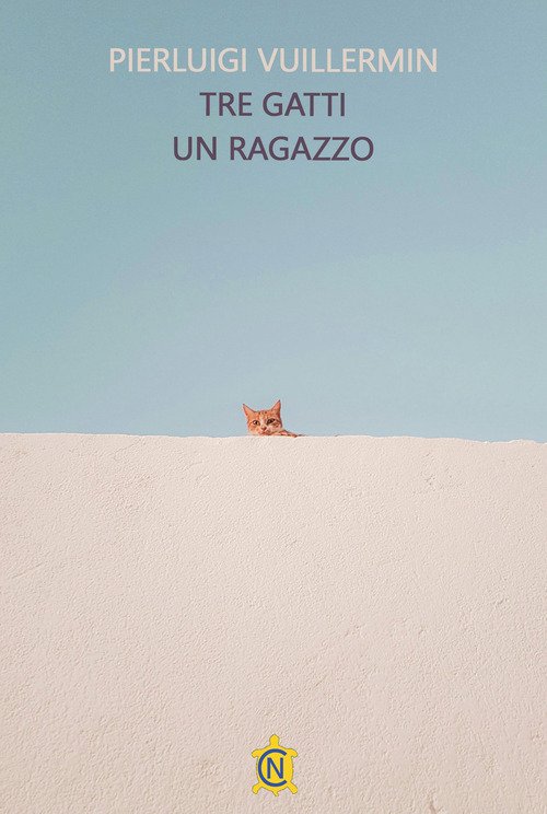 Tre gatti un ragazzo