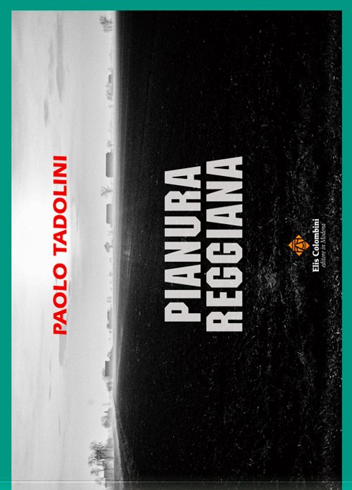 Pianura reggiana
