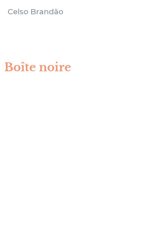 Boîte noire