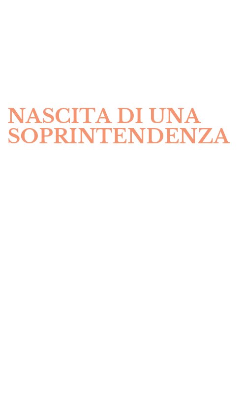 NASCITA DI UNA SOPRINTENDENZA