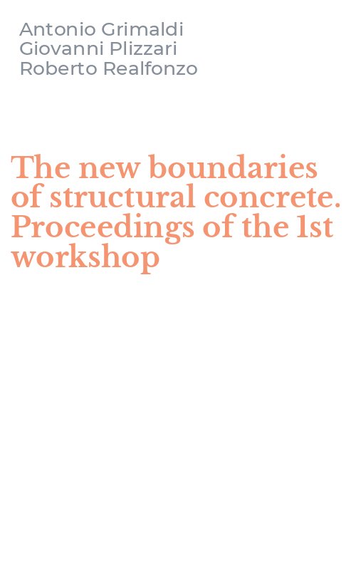 The new boundaries of structural concrete. Proceedings of the 1st workshop