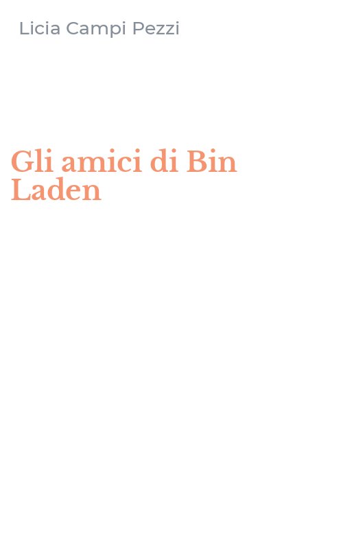 Gli amici di Bin Laden