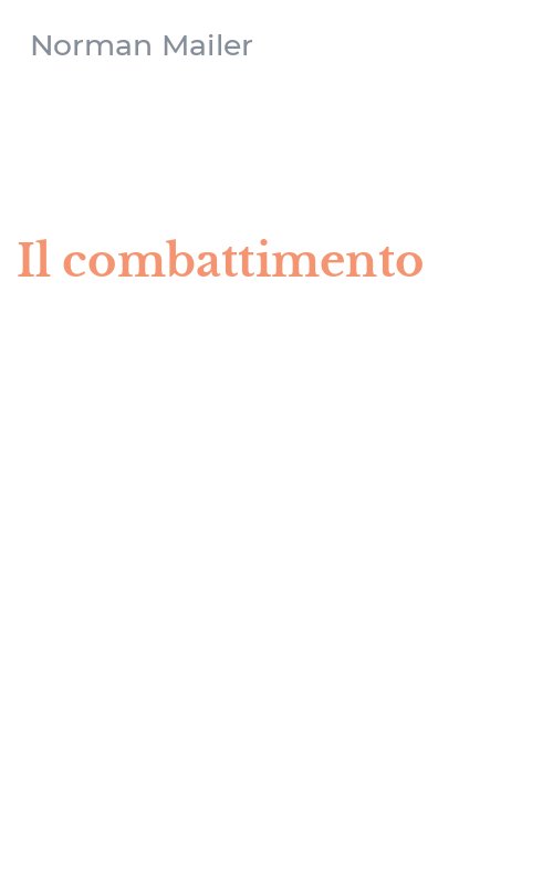 Il combattimento