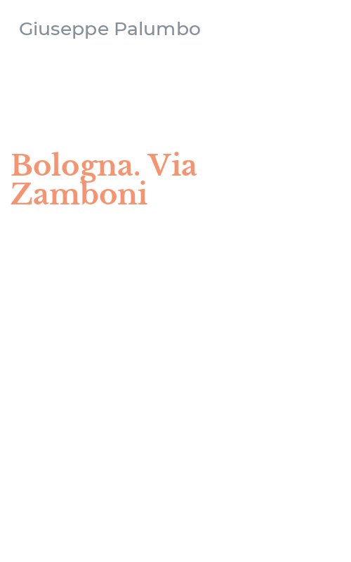 Bologna. Via Zamboni