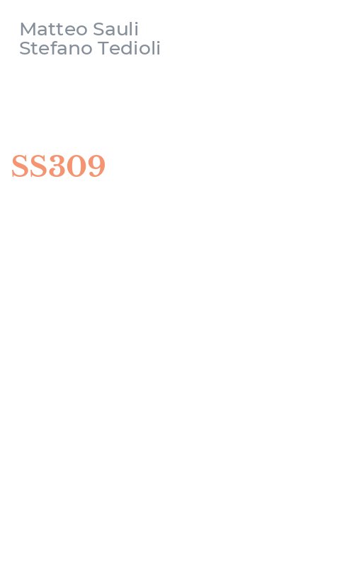 SS309
