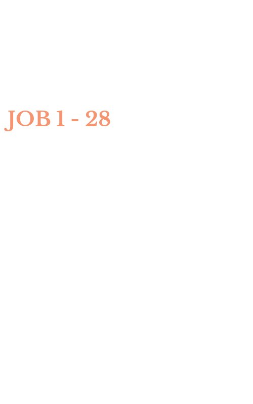 JOB 1 - 28