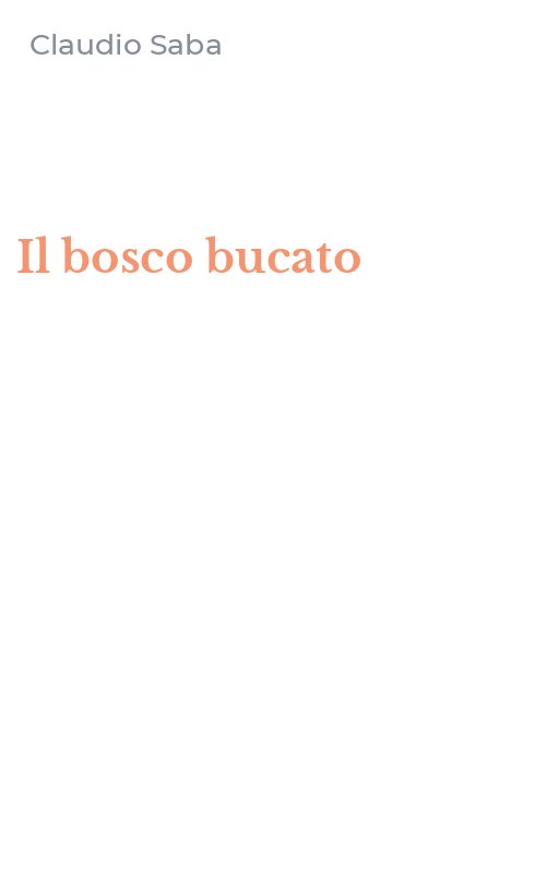 Il bosco bucato