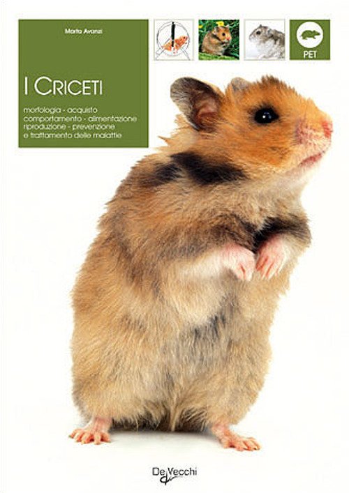 Criceti