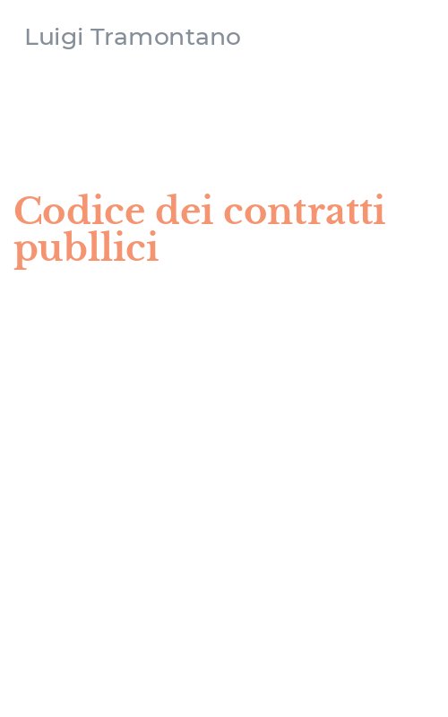 Codice dei contratti publlici