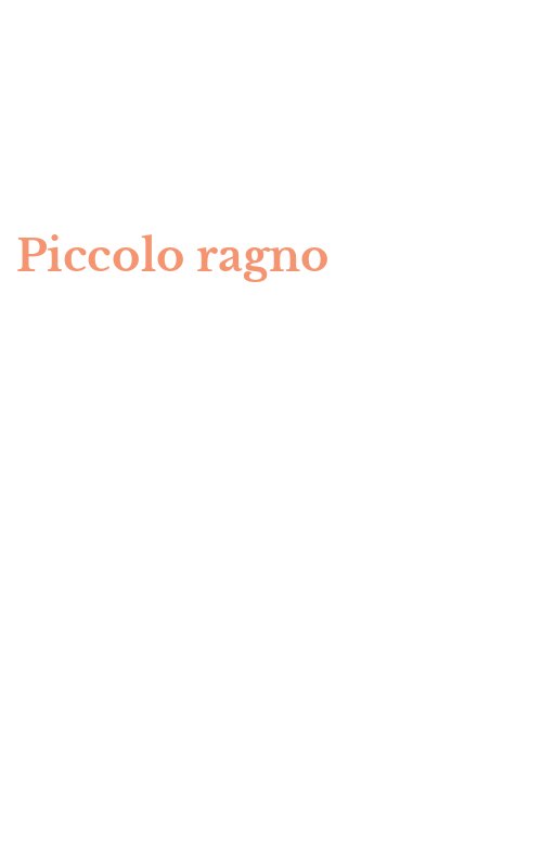Piccolo ragno